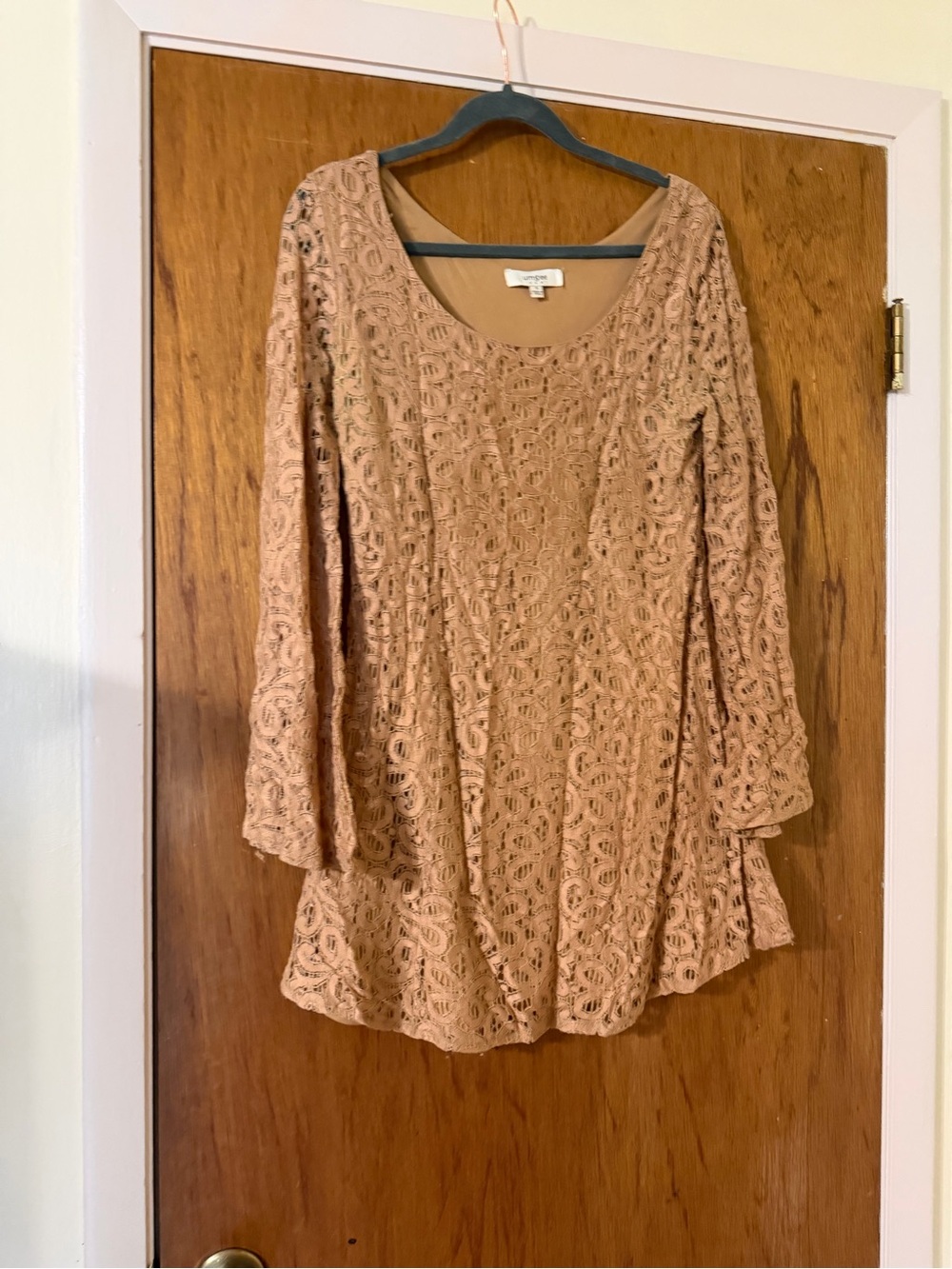 Umgee Dusty Rose Lace Tunic